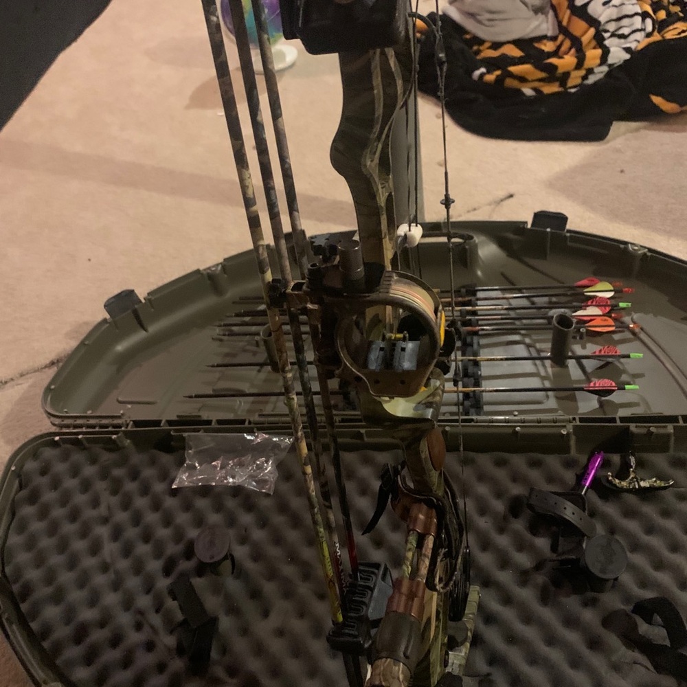Psc excursion great bow - Picture 3 of 5